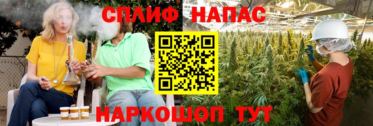 Каннабис SATIVA & INDICA  Каннабис OG Kush  Малгобек  Бошки марихуана сатива  Вход с VPN 